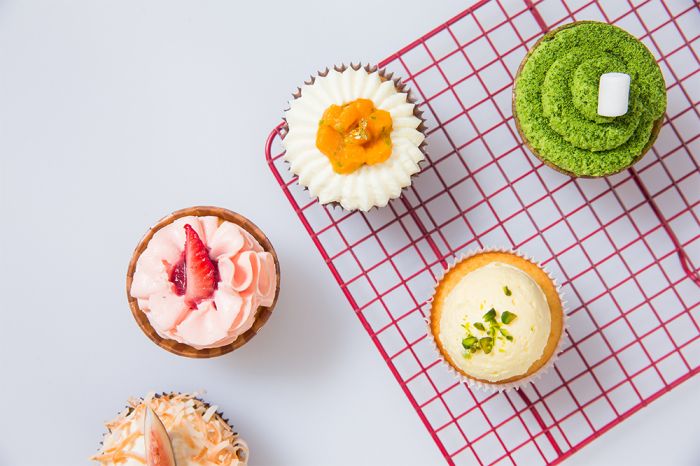 西点全科精英班